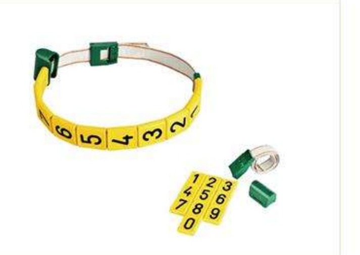Cinta de cuello para bovinos GF012