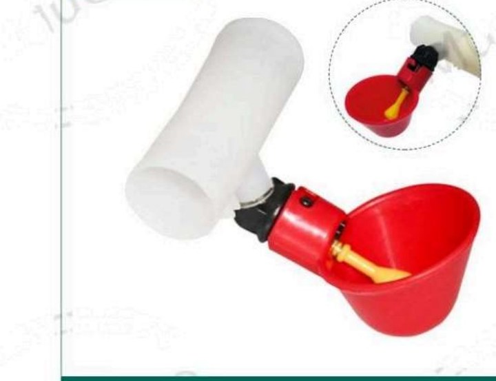 Tazón bebedero automático M016